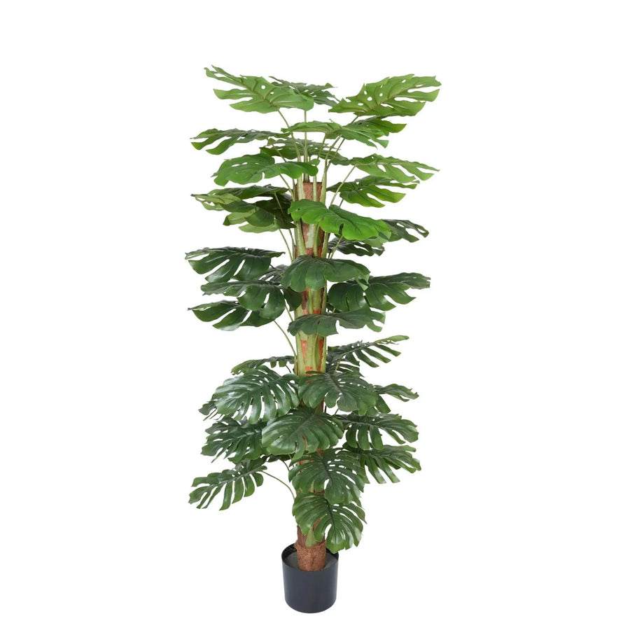 Artificial Monstera Plant 145cm - Premium Split Leaf with Textured Trunk