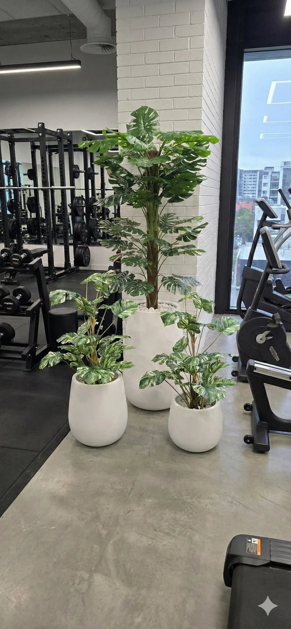 Artificial Monstera Plant 145cm - Premium Split Leaf with Textured Trunk — detail view