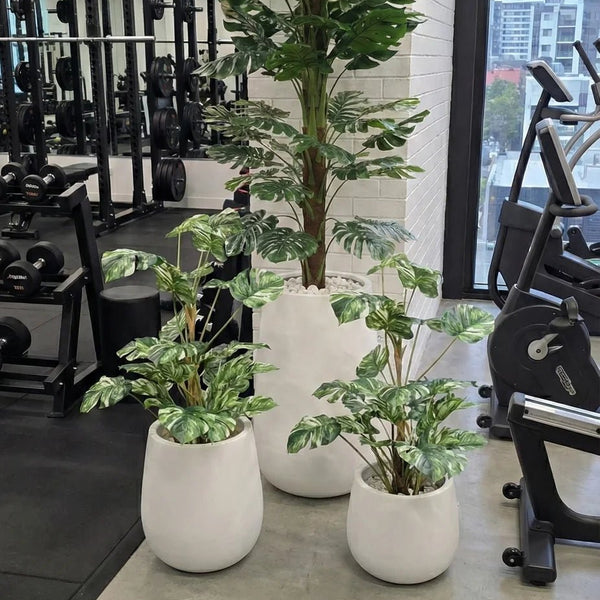 Artificial Monstera Plant 145cm - Premium Split Leaf with Textured Trunk - image 5