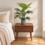 Premium Artificial Potted Premium Mini Palm Tree 55cm - Designer Vertical Gardens artificial palm tree Artificial Shrubs and Small plants