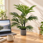 Premium Artificial Potted Premium Mini Palm Tree 55cm - Designer Vertical Gardens artificial palm tree Artificial Shrubs and Small plants