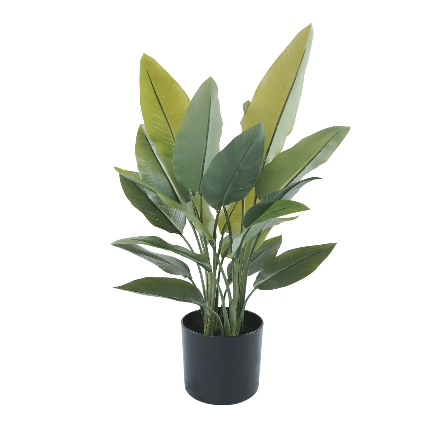 Premium Artificial Strelitzia Plant 70cm – Lifelike Bird of Paradise Greenery - Designer Vertical Gardens Artificial Trees indoor plant