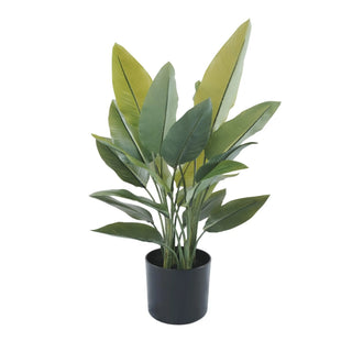 Premium Artificial Strelitzia Plant 70cm – Lifelike Bird of Paradise Greenery