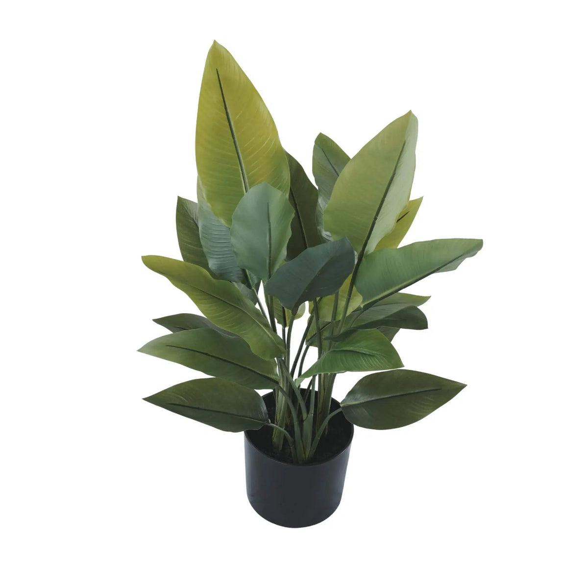 Premium Artificial Strelitzia Plant 70cm – Lifelike Bird of Paradise Greenery — gallery image