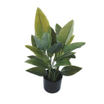 Premium Artificial Strelitzia Plant 70cm – Lifelike Bird of Paradise Greenery - Designer Vertical Gardens Artificial Trees indoor plant