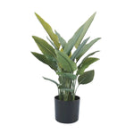 Premium Artificial Strelitzia Plant 70cm – Lifelike Bird of Paradise Greenery - Designer Vertical Gardens Artificial Trees indoor plant