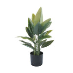 Premium Artificial Strelitzia Plant 70cm – Lifelike Bird of Paradise Greenery - Designer Vertical Gardens Artificial Trees indoor plant