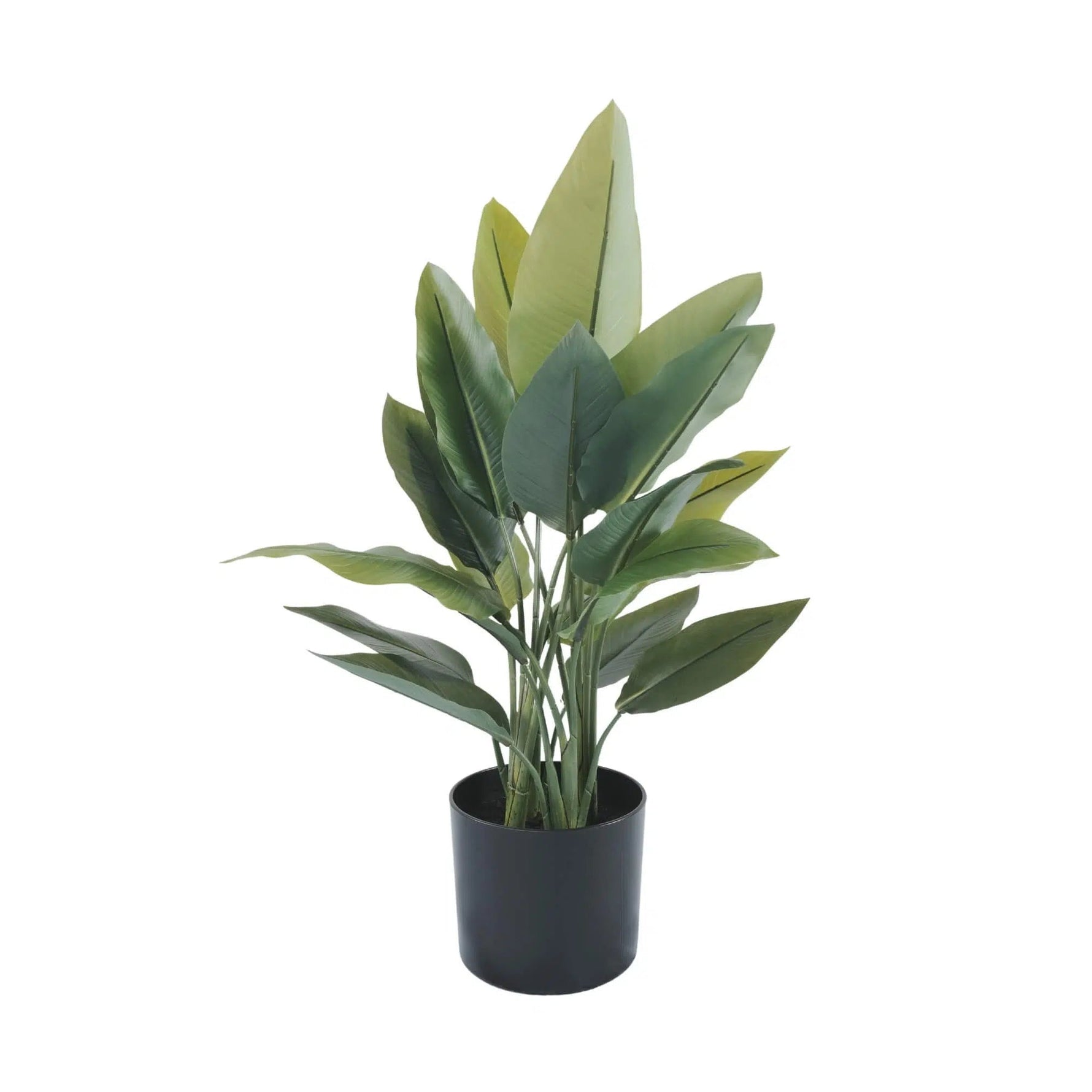 Premium Artificial Strelitzia Plant 70cm – Lifelike Bird of Paradise Greenery - Designer Vertical Gardens Artificial Trees indoor plant