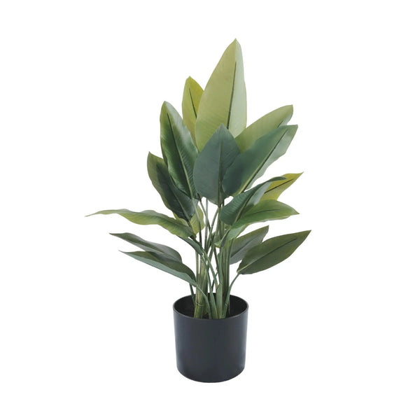 Premium Artificial Strelitzia Plant 70cm – Lifelike Bird of Paradise Greenery — gallery image 5
