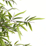 Premium Dense Artificial Black Bamboo 150cm - Designer Vertical Gardens Artificial Trees Artificial Trees for Balconies