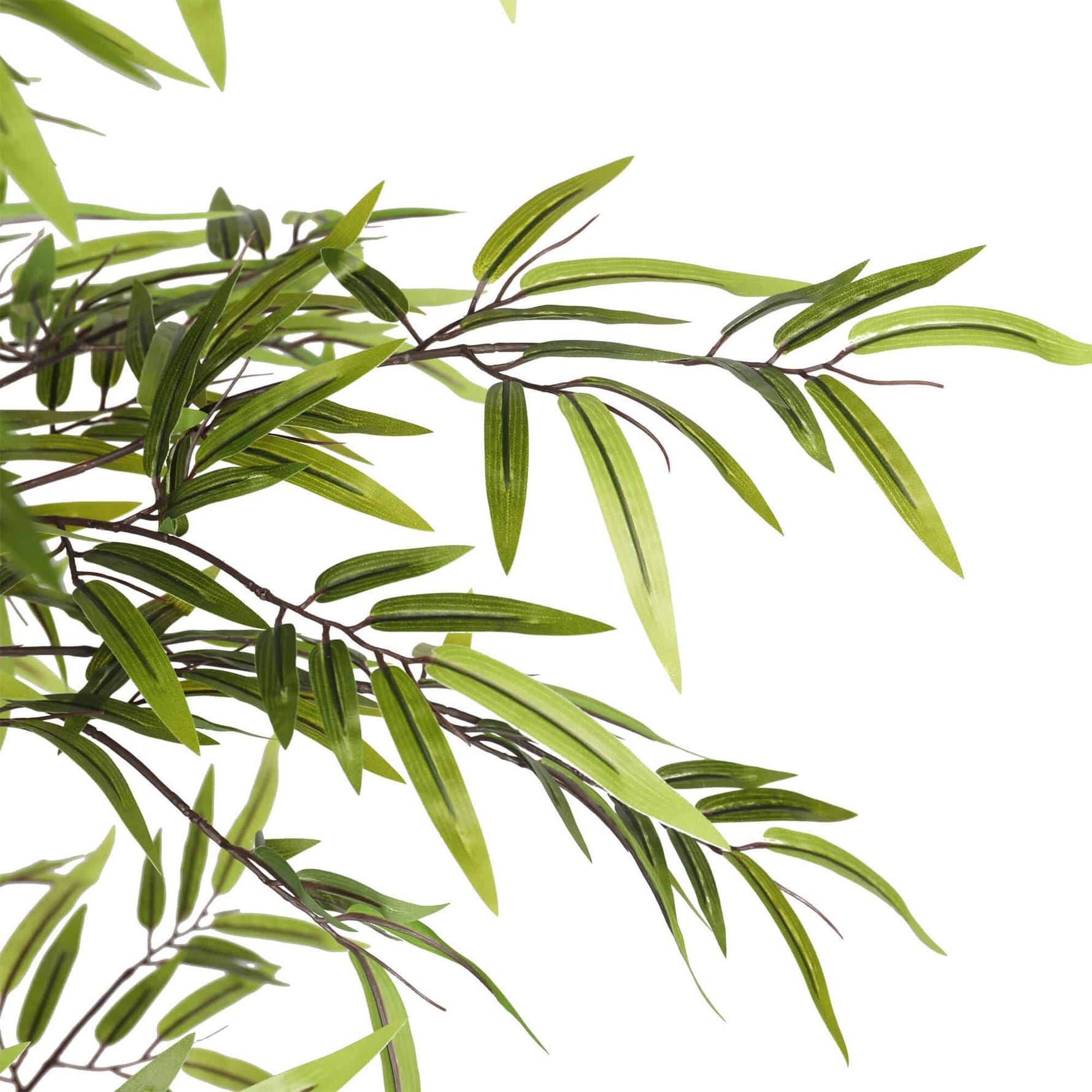 Artificial green leaves on a white background