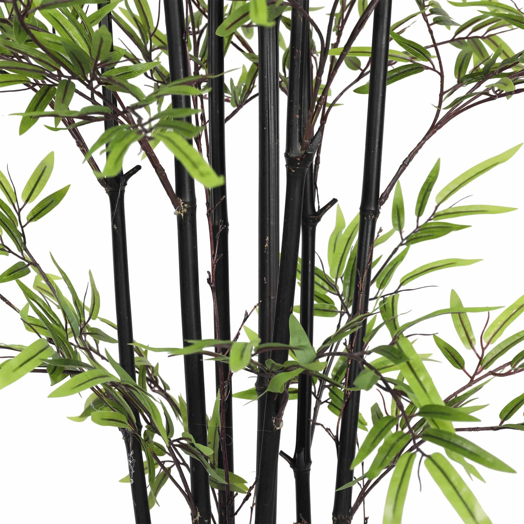 Artificial black bamboo plant with green leaves on a white background