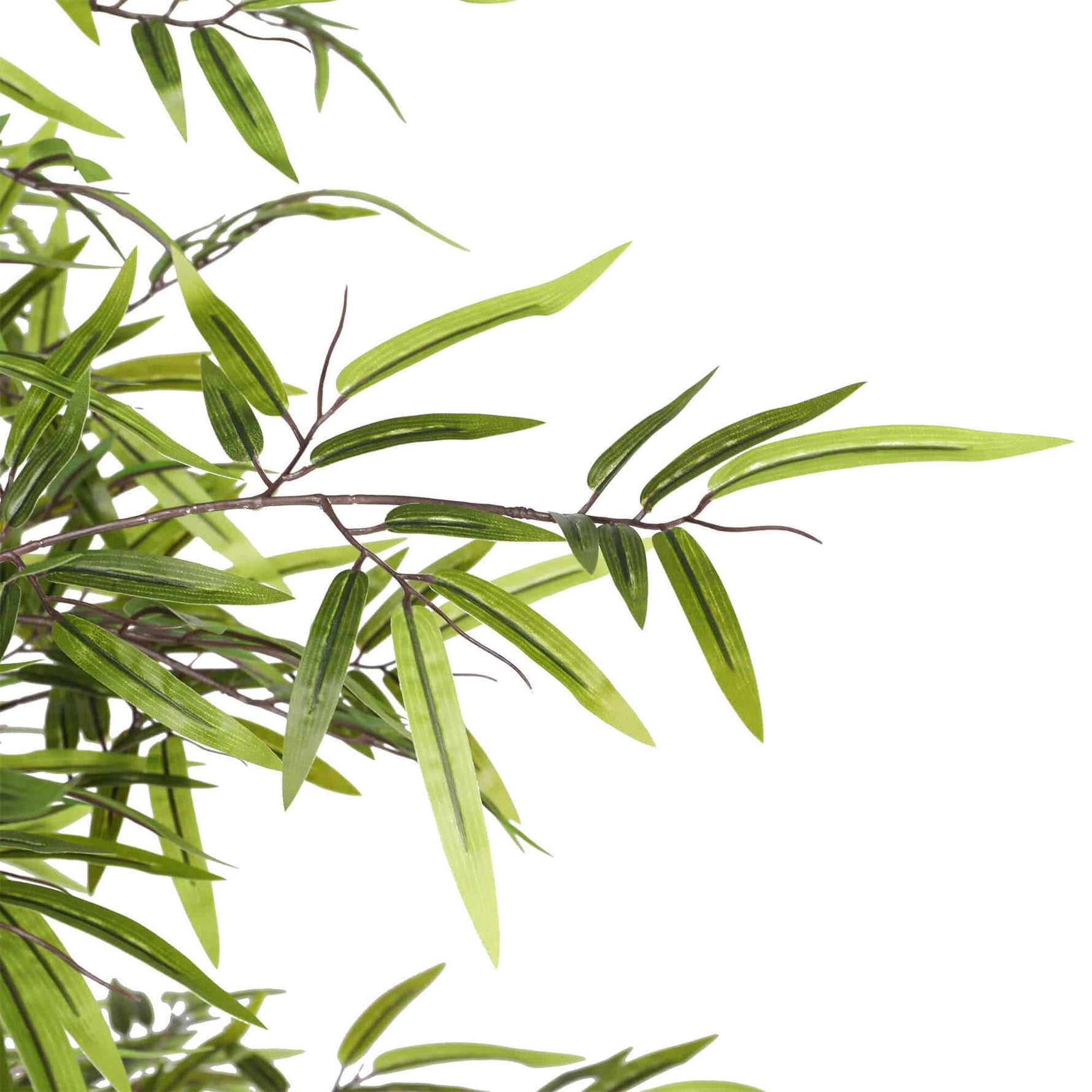 Artificial bamboo branch with green leaves on a white background