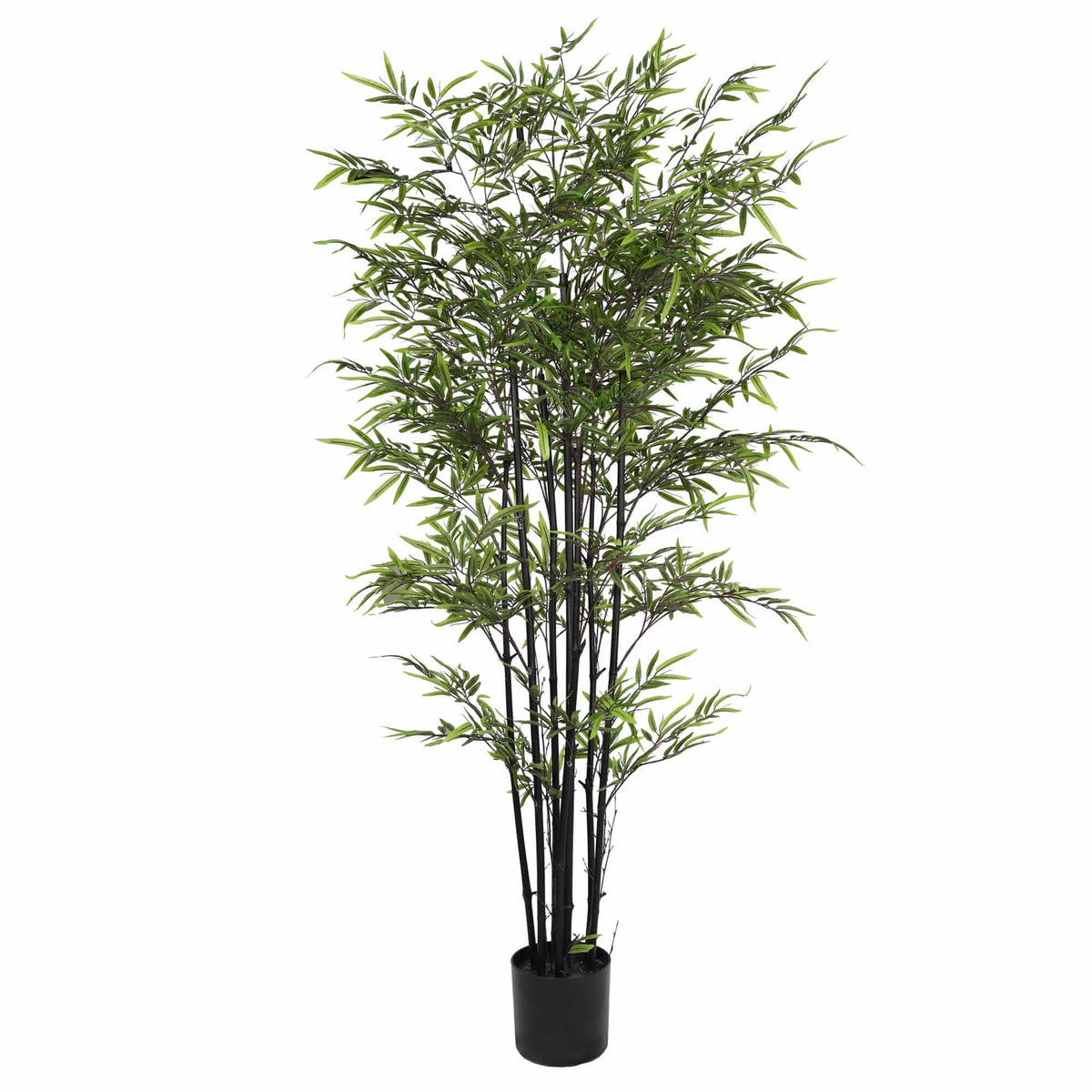 Premium Dense Artificial Black Bamboo 180cm — gallery image