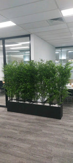 Indoor office setting with a green plant partition.
