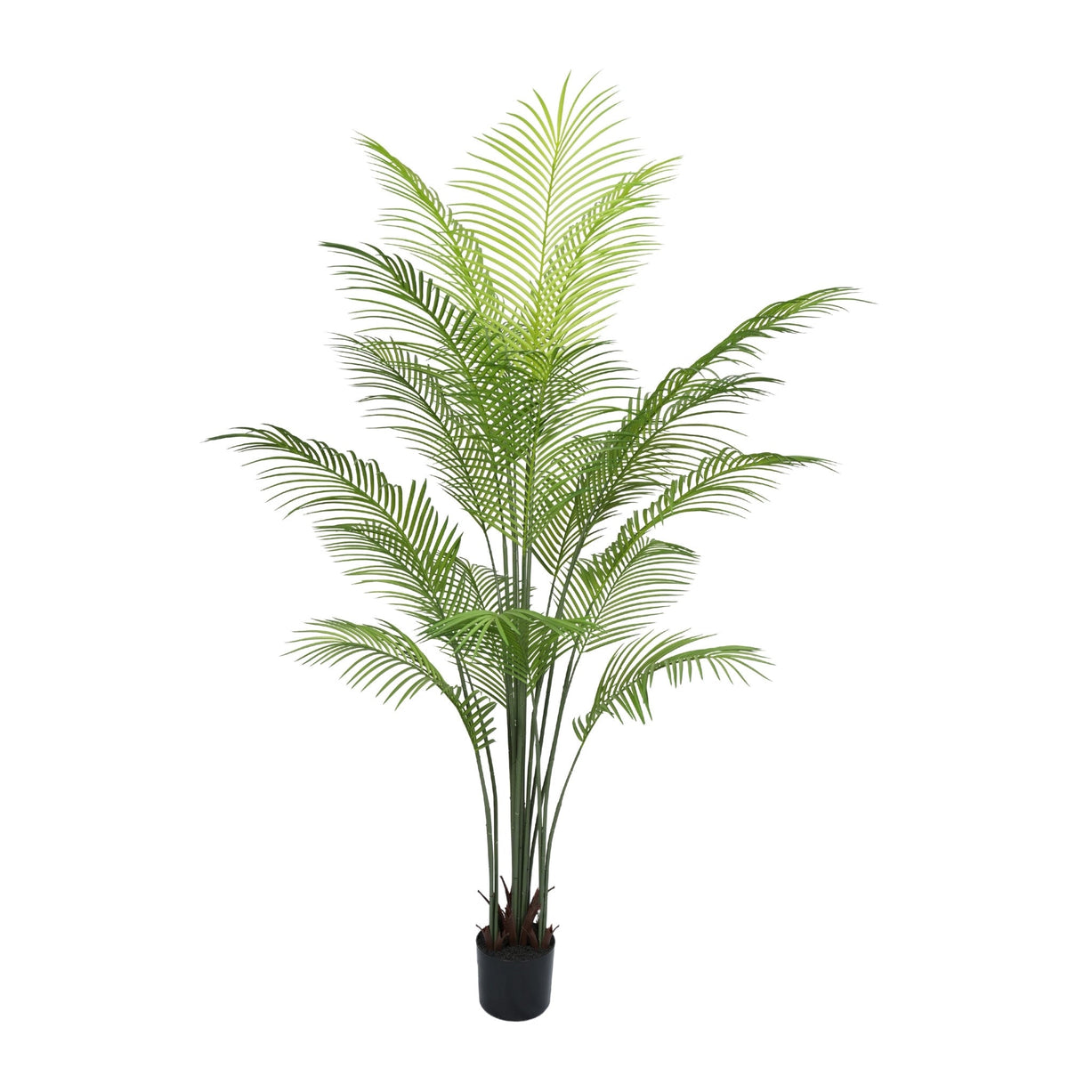 Premium Dense Artificial Plam Tree 180cm Areca Faux Tree (Knock Down) - Designer Vertical Gardens artificial palm tree fake palm tree