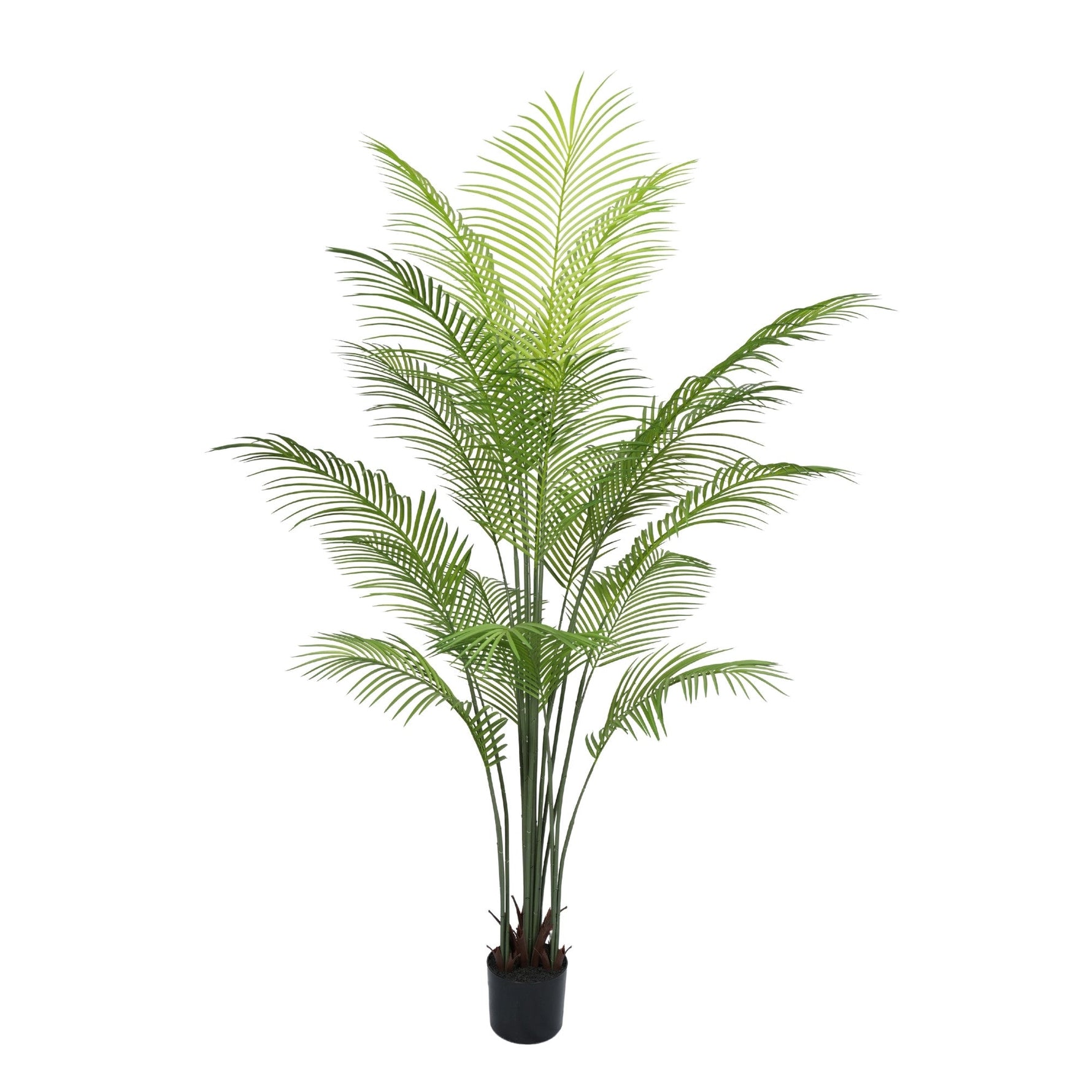 Premium Dense Artificial Plam Tree 180cm Areca Faux Tree (Knock Down) - Designer Vertical Gardens artificial palm tree fake palm tree