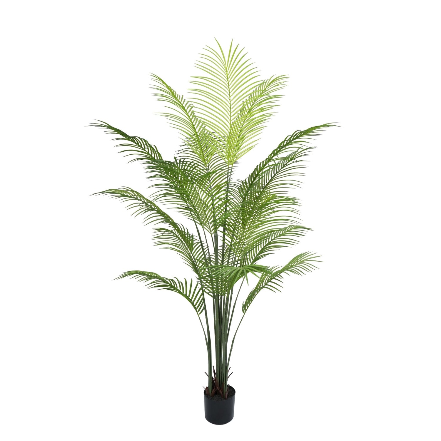 Premium Dense Artificial Plam Tree 180cm Areca Faux Tree (Knock Down) - Designer Vertical Gardens artificial palm tree fake palm tree