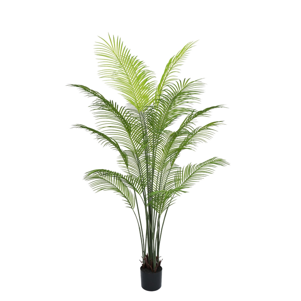 Premium Dense Artificial Plam Tree 180cm Areca Faux Tree (Knock Down) - Designer Vertical Gardens artificial palm tree fake palm tree