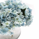 Light blue hydrangeas in a white vase on a white background