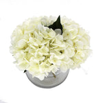 White hydrangea flower arrangement in a clear vase on a white background