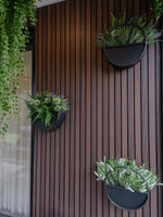Decorative wall planters with green plants on a wooden wall