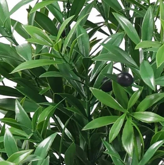Premium Manicured Artificial Olive Tree 127cm UV Resistant — gallery image