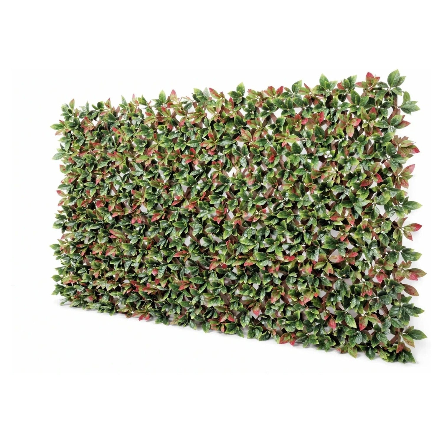 Premium Photinia Leaf Artificial Hedge Extendable Trellis / Screen 2 Meter By 1 Meter UV Resistant (PVC) – New Arrival January - Designer Vertical Gardens expandable trellis Pre - built artificial greenwall