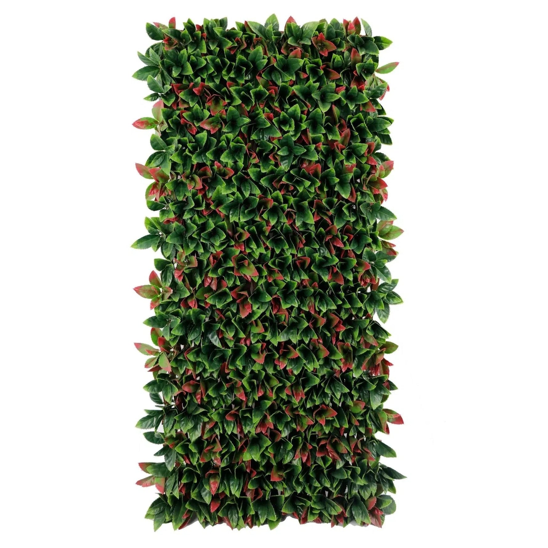 Premium Photinia Leaf Artificial Hedge Extendable Trellis / Screen 2 Meter By 1 Meter UV Resistant (PVC) – New Arrival January - Designer Vertical Gardens expandable trellis Pre - built artificial greenwall