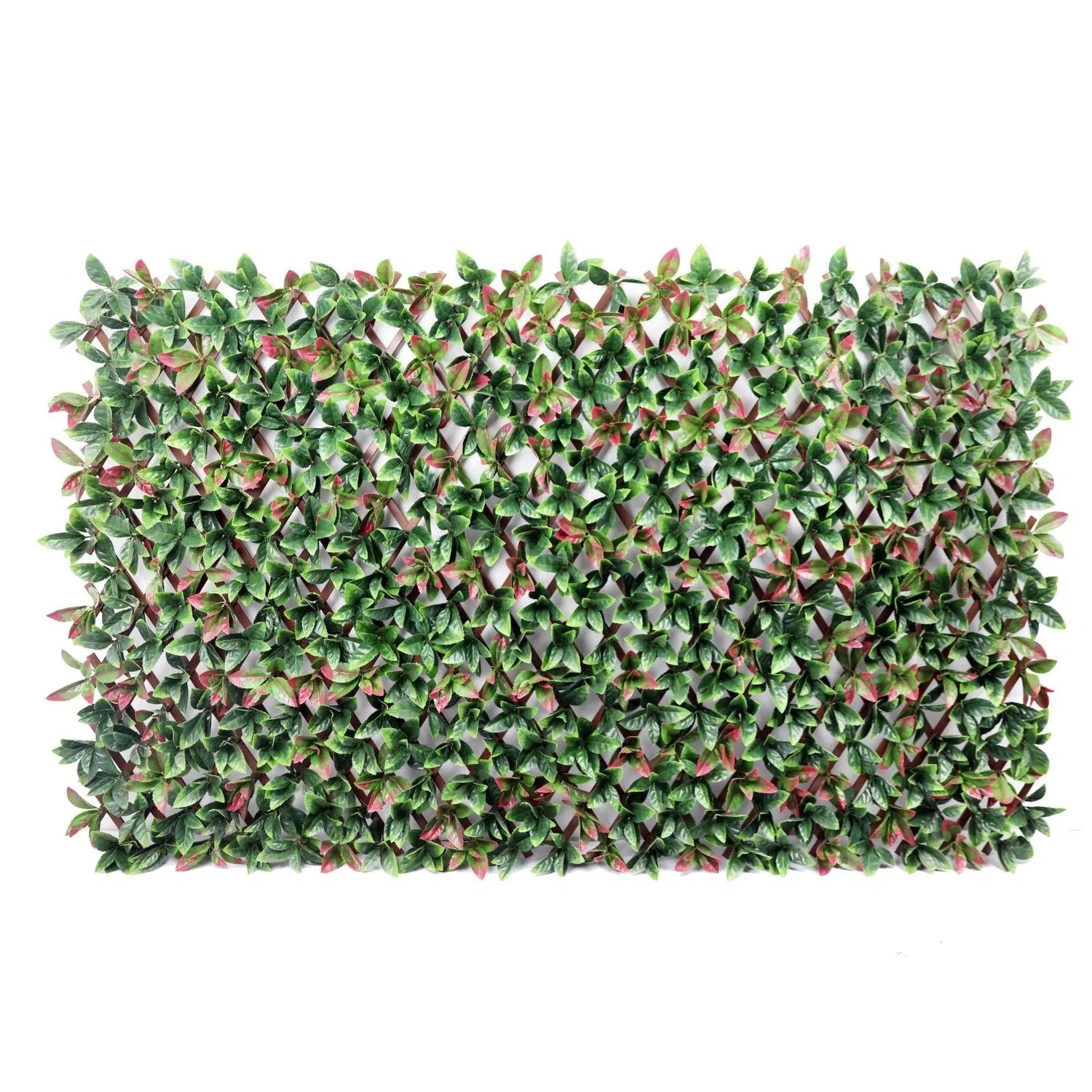 Premium Photinia Leaf Artificial Hedge Extendable Trellis / Screen 2 Meter By 1 Meter UV Resistant (PVC) – New Arrival January - Designer Vertical Gardens expandable trellis Pre - built artificial greenwall
