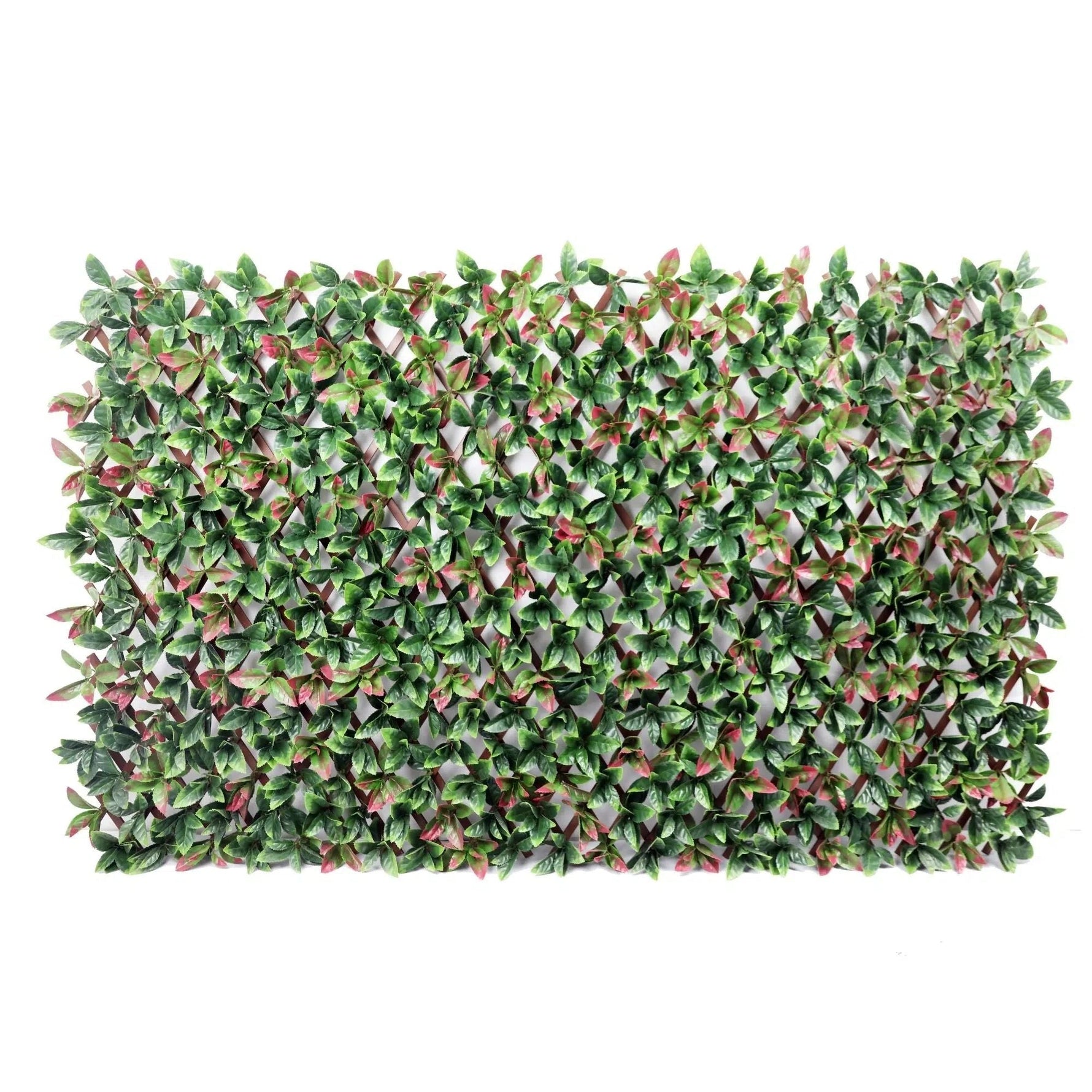 Premium Photinia Leaf Artificial Hedge Extendable Trellis / Screen 2 Meter By 1 Meter UV Resistant (PVC) – New Arrival January - Designer Vertical Gardens expandable trellis Pre - built artificial greenwall