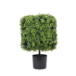 Artificial boxwood bush in a black pot on a white background