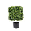 Premium Potted Square Topiary 55cm - UVTEX Certified UV Resistant