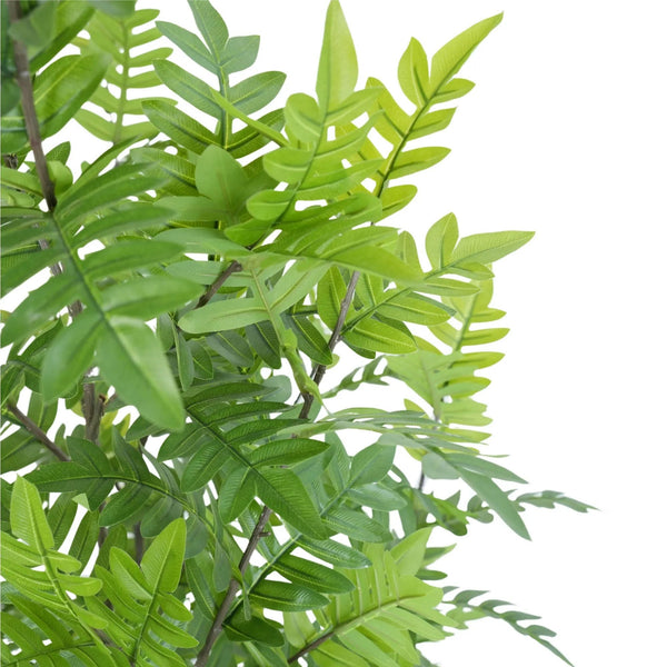 Premium Real Touch Artificial Bracken Palm Tree 180cm — gallery image 3