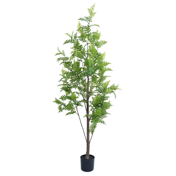 Premium Real Touch Artificial Bracken Palm Tree 180cm - image 2