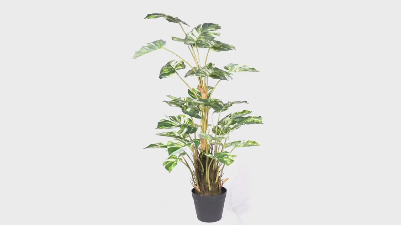 Premium Artificial Monstera Deliciosa / Variegated Monstera (Swiss Cheese) 90cm