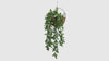 Realistic Hanging Creeping Fig Vine with dense trailing foliage, UV resistant and fire rated for outdoor landscaping, hospitality venues, retail displays, office spaces, home décor, and vertical garden installations