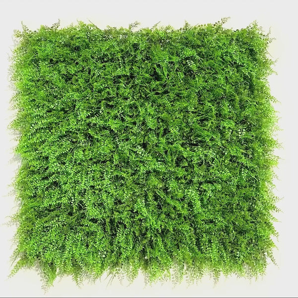 Luxury Dense Fern Vertical Garden Green Wall Panel 1m x 1m – SGS UV Resistant - video 35