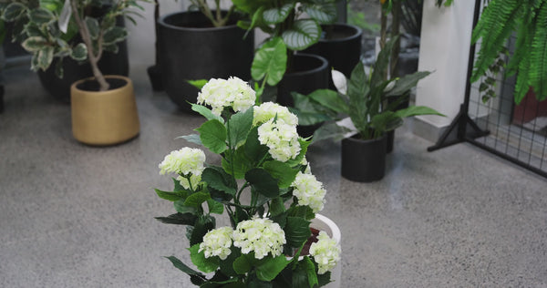 Artificial White Hydrangea Tree 90cm - UV Resistant Flowering Plant