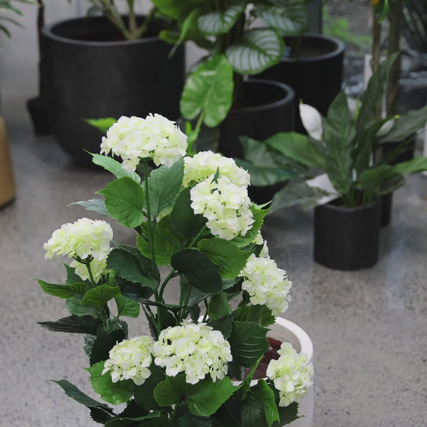 Artificial White Hydrangea Tree 90cm - UV Resistant Flowering Plant - video 4