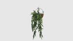 Artificial Hanging Fern Garland measuring 18cm x 76cm, designed with lifelike cascading fern leaves to add natural greenery to any space. UV-resistant and fire-rated construction makes it suitable for both indoor and outdoor decorative applications, with long-lasting color and durability.