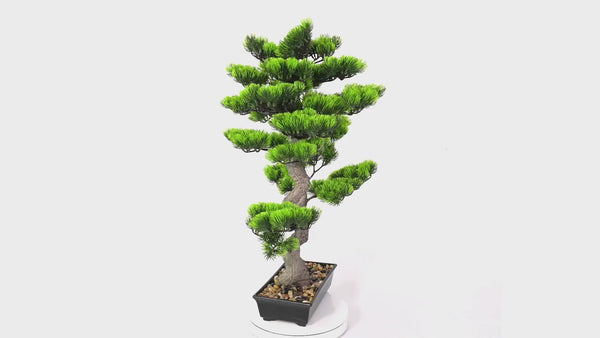 Artificial Bonsai Tree 70cm x 45cm - Premium Handmade Potted Plant — video thumbnail