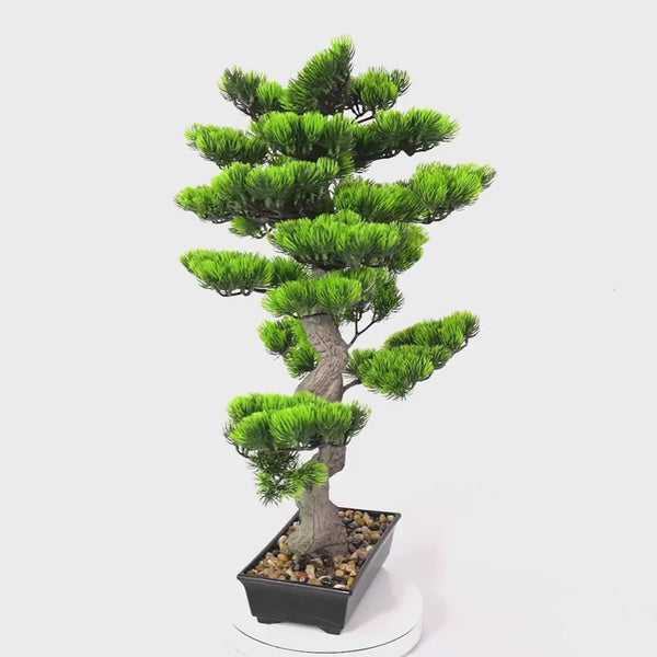 Artificial Bonsai Tree 70cm x 45cm - Premium Handmade Potted Plant - video 2