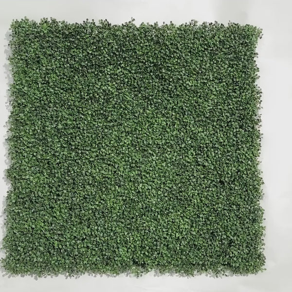 English Boxwood Artificial Hedge Panel 1m x 1m - UV Certified - video 15