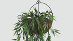 Realistic Artificial Hanging Dark Green Bamboo Leaf Garland Bush featuring lush bamboo-style leaves, UV resistant and fire rated for use in outdoor landscaping, hanging planters, office spaces, event styling, and vertical garden displays.