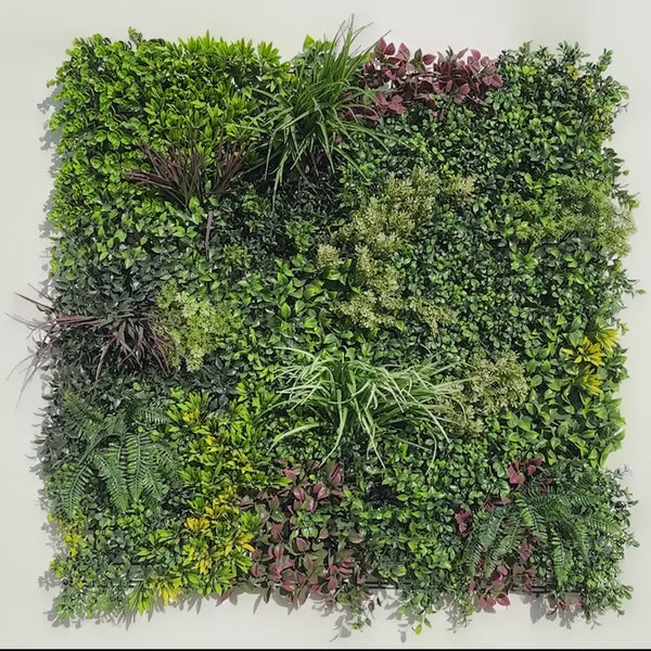 Evergreen Rainforest Recycled Green Wall 1m x 1m - UVTEX Certified UV Resistant - video 14