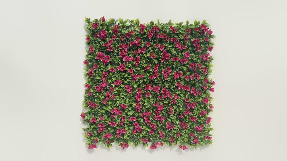 Luxury Flowering Pink Vertical Garden Green Wall Panel 1m x 1m – SGS UV Resistant — video thumbnail