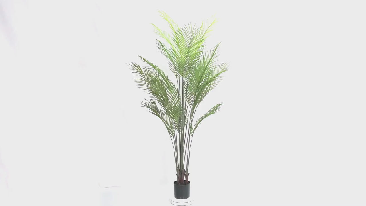 Premium Dense Artificial Palm Tree 180cm Areca Faux Tree (Knock Down)