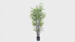 Artificial Bamboo with Black Trunk for Sale in Australia