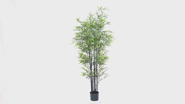 Premium Dense Artificial Black Bamboo 150cm — video thumbnail